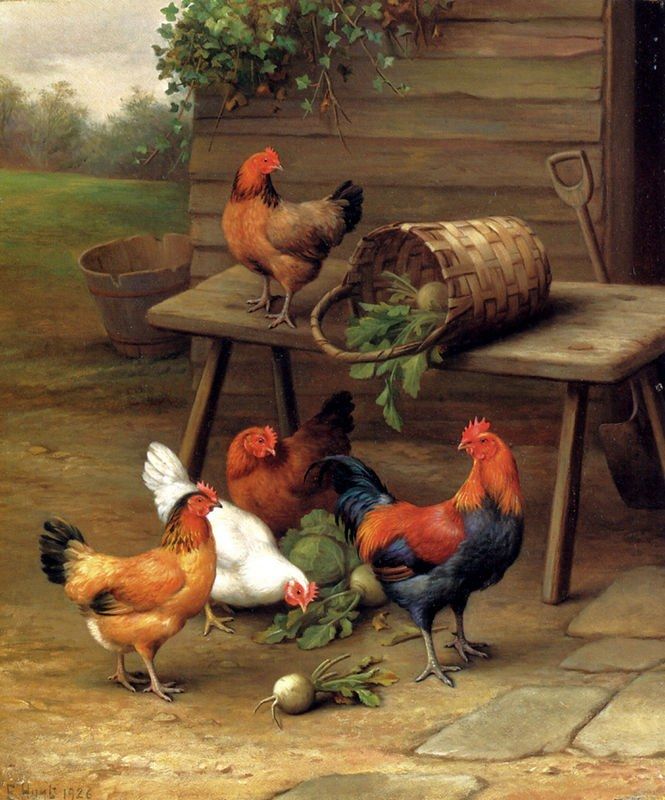 Unknown Chickens art